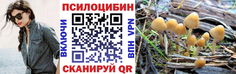 закладка  darknet официальный сайт  Галлюциногенные грибы MAGIC MUSHROOMS  Красково 